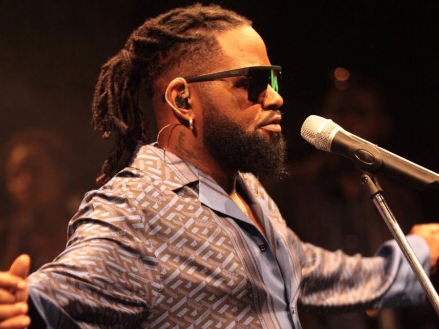 ferre gola en concert Wildaid africa